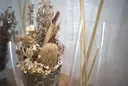 金武 里恩のプロフィール画像