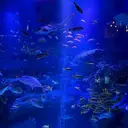 児玉 楓凜のプロフィール画像