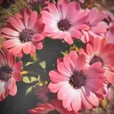 O. あやこのプロフィール画像