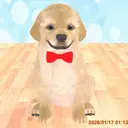 三枝 寛太のプロフィール画像