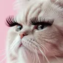 古橋 鈴のプロフィール画像