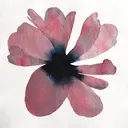 立川 萌凪のプロフィール画像