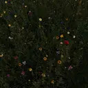 片外 絢子のプロフィール画像