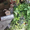 eyelash cherishのプロフィール画像