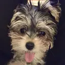 韓国/色気/レイヤー /avance天王寺のプロフィール画像