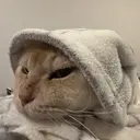 Fumi ポップ/ナチュラルのプロフィール画像