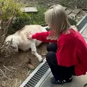 伴 麻彩のプロフィール画像