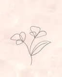 Belle soinのプロフィール画像