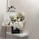 Lumière risaのプロフィール画像