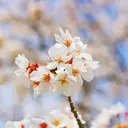 Kumagai .Aのプロフィール画像