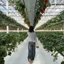 〰️sofa🪧 Kiguchiのプロフィール画像