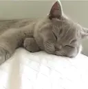 TIARA. Noriのプロフィール画像