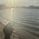 濱野 るりかのプロフィール画像