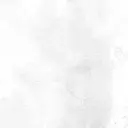 mo moのプロフィール画像