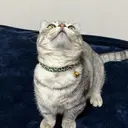 森山 ひま琉のプロフィール画像