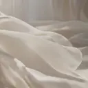 JOJO Shirakiのプロフィール画像