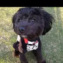 笠谷 正之のプロフィール画像