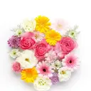 山口 美波のプロフィール画像