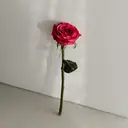 Becky 村山のプロフィール画像