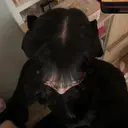 小林 祐月のプロフィール画像