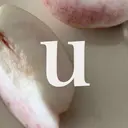 shibata Uのプロフィール画像