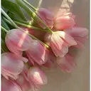 畑山 美咲のプロフィール画像