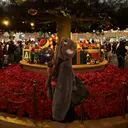 細川 遥菜のプロフィール画像