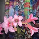 穴沢 有希奈のプロフィール画像