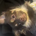 徳原 美優のプロフィール画像