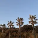 00 nozomiのプロフィール画像