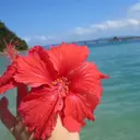 nail salon MARSのプロフィール画像