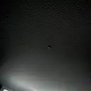 葛西 夏海のプロフィール画像