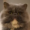 抜け感🦖似合わせ カット/izumiのプロフィール画像