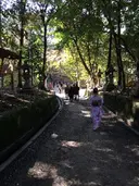 東 真由美のプロフィール画像