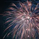 ル ルのプロフィール画像