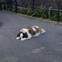 近藤 采良のプロフィール画像