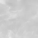 土田 佳歩のプロフィール画像