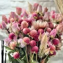 Ｎ. styleのプロフィール画像