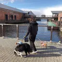 Amaretto かなのプロフィール画像