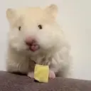 YU Iのプロフィール画像