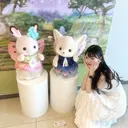 ハシモト 🎀🪄のプロフィール画像