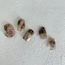 MAXKELLY Meiのプロフィール画像