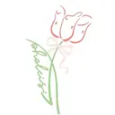 Pholeisi Lisaのプロフィール画像