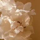 難波駅すぐ🩵当日予 約◎eye✨UENOのプロフィール画像