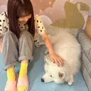 加藤 亜寿紗のプロフィール画像