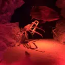 小島 亜弥のプロフィール画像