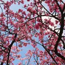 mits 牧港店 比嘉千夏のプロフィール画像