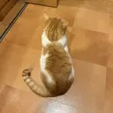 近藤 爽良のプロフィール画像