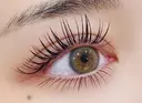Eyelash Luaのプロフィール画像