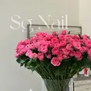 Sg Nailのプロフィール画像